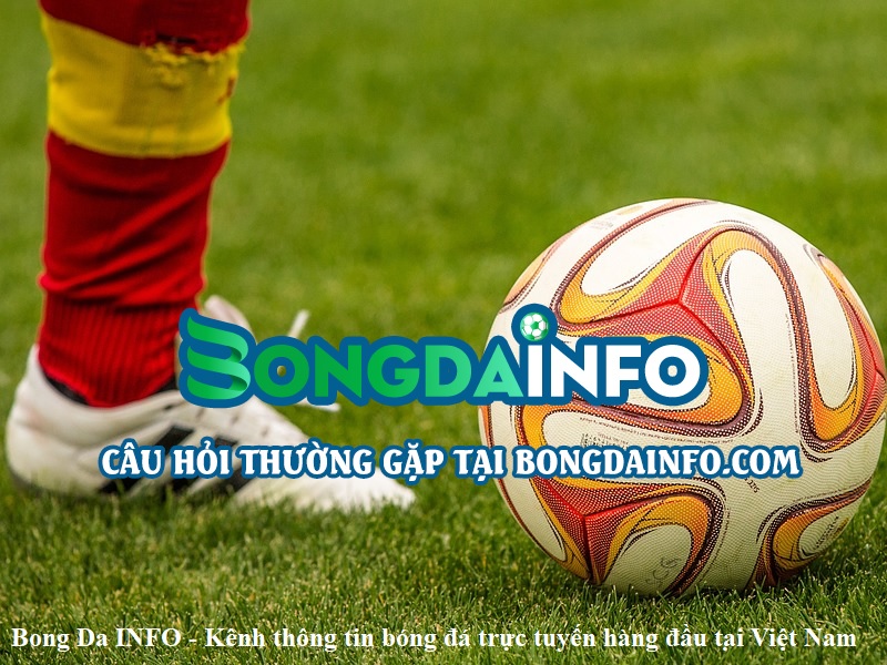 Bong Da INFO – Kênh thông tin bóng đá trực tuyến hàng đầu tại Việt Nam