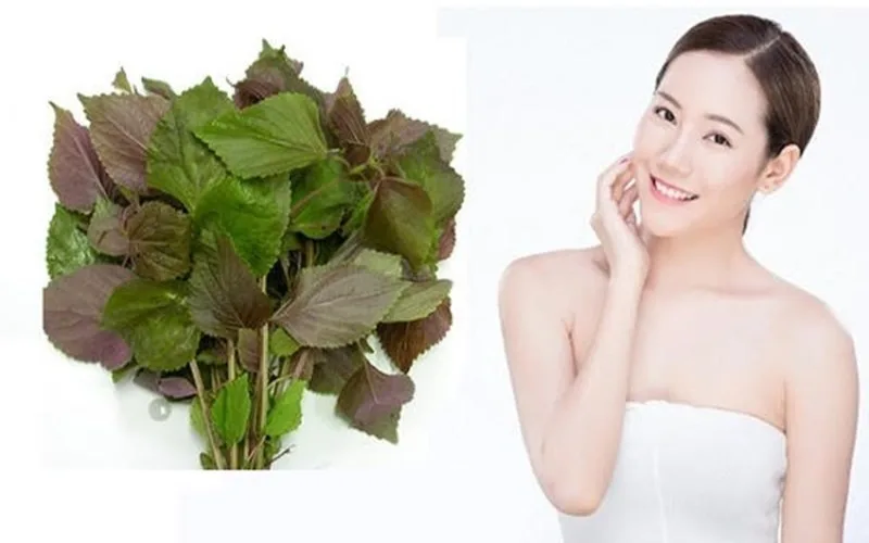 lam dep bang la tia to bi quyet cham da duoc nhieu nguoi yeu thich
