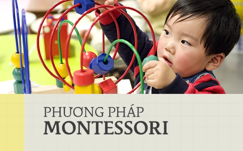 Hệ Montessori là mô hình giáo dục lấy trẻ làm trung tâm, tôn trọng khả năng tự học của trẻ.